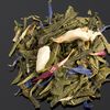 SAGA SENCHA